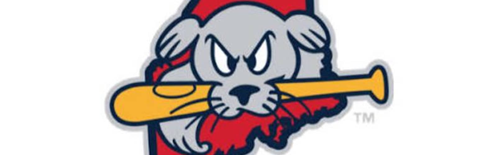 Akron RubberDucks vs. Portland Sea Dogs - Akron