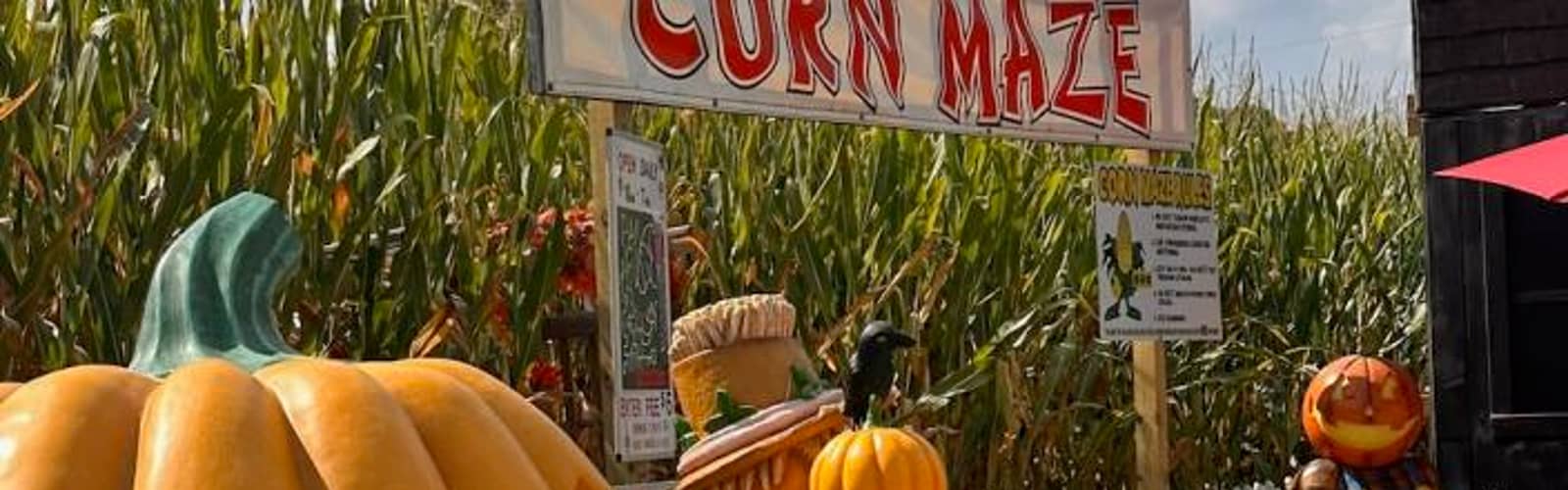 Fall at the Farm