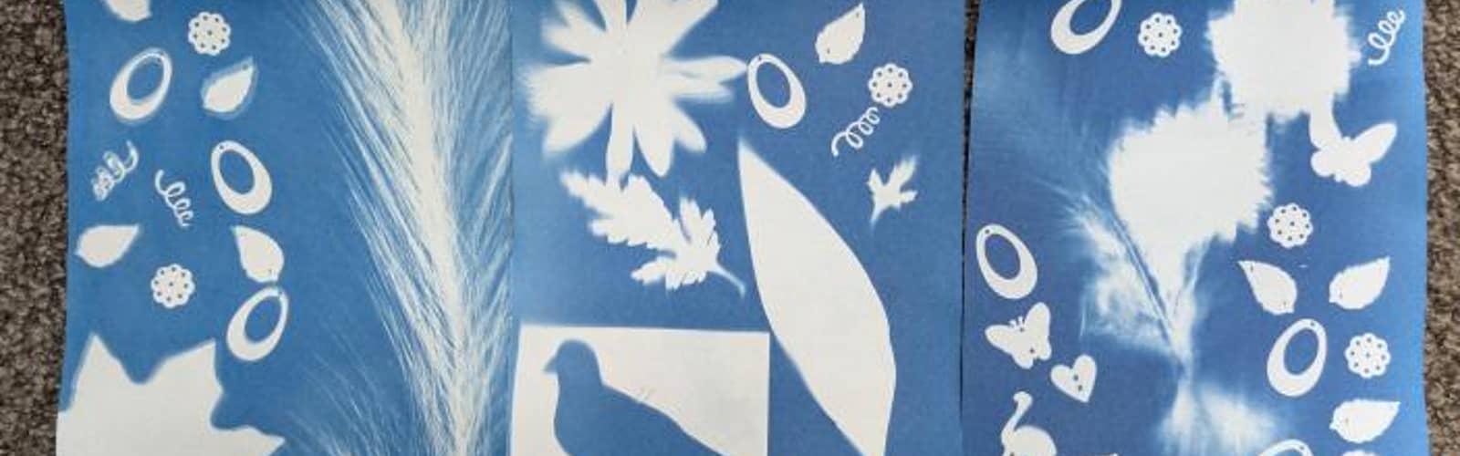 All About Art for Elementary Students: History of Cyanotypes