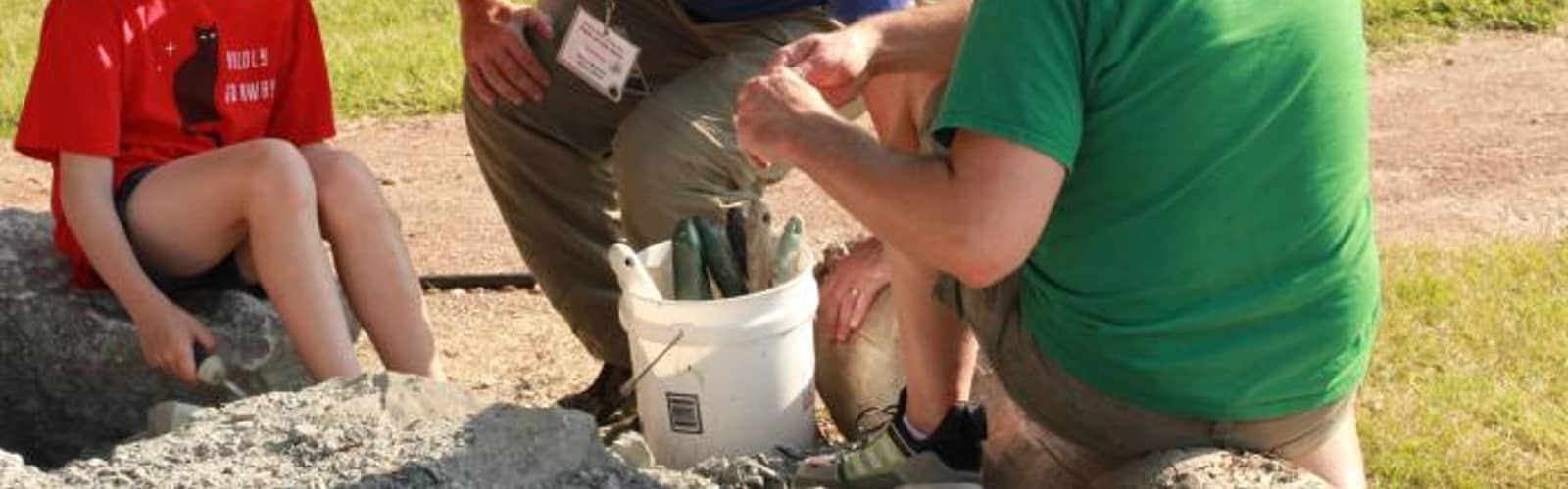 Dig Our Collecting Piles!