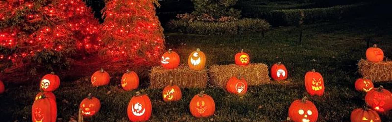 Pumpkins Aglow