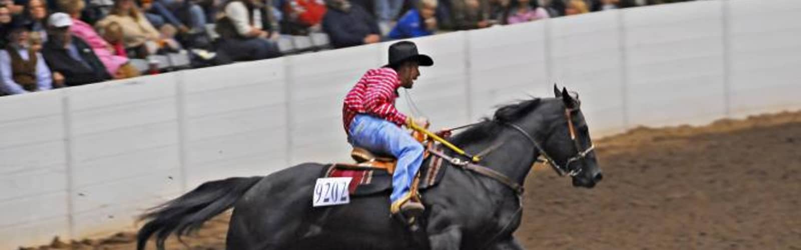 All American Quarter Horse Congress