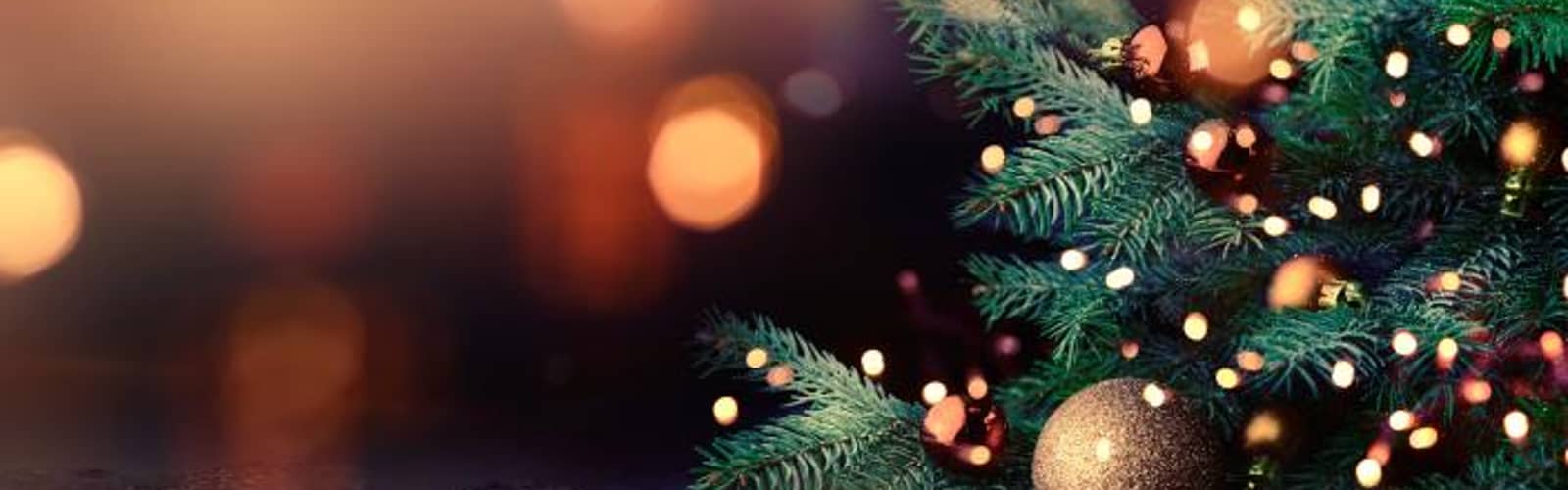 NASO Holiday Spectacular