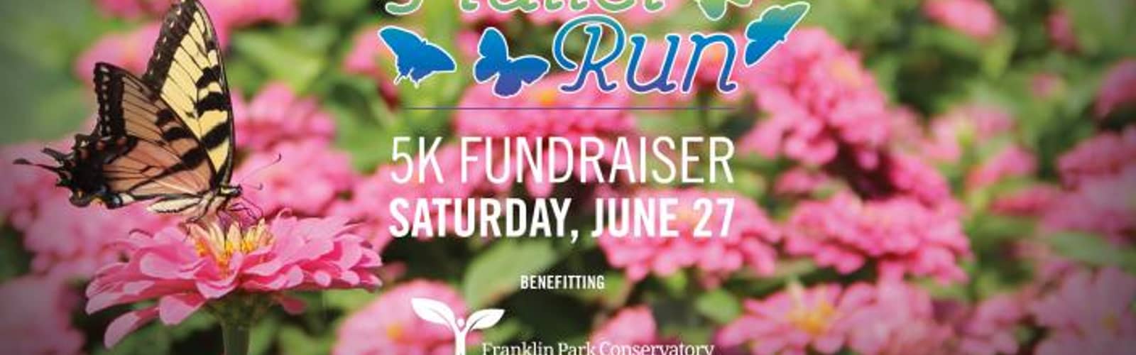 The Flutter Run
