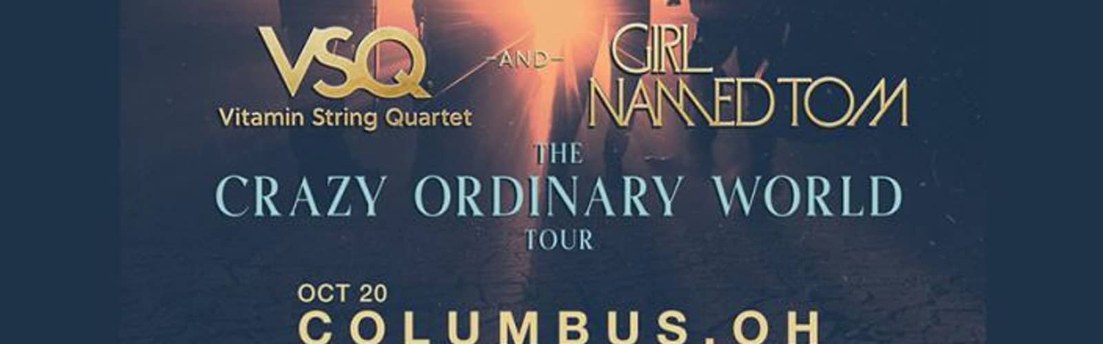 Vitamin String Quartet