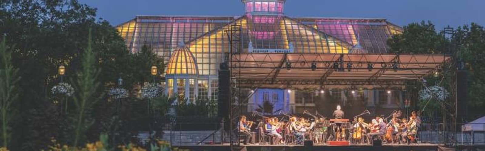 Summer Music Series: A Classical Evening