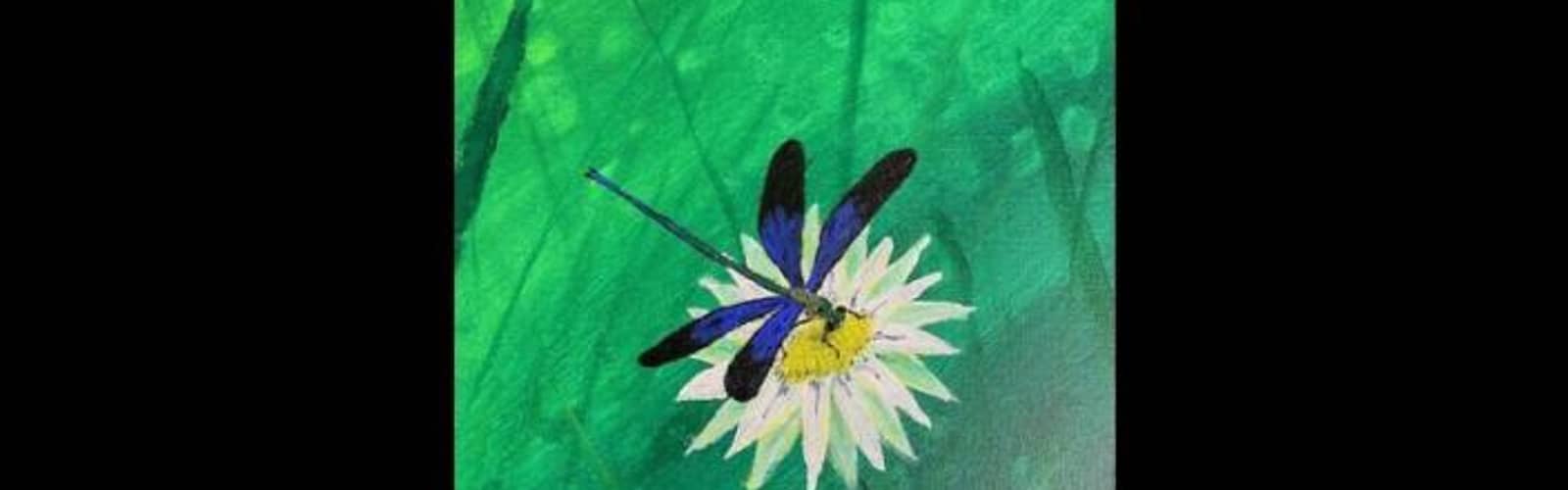 Daisy Dragonfly