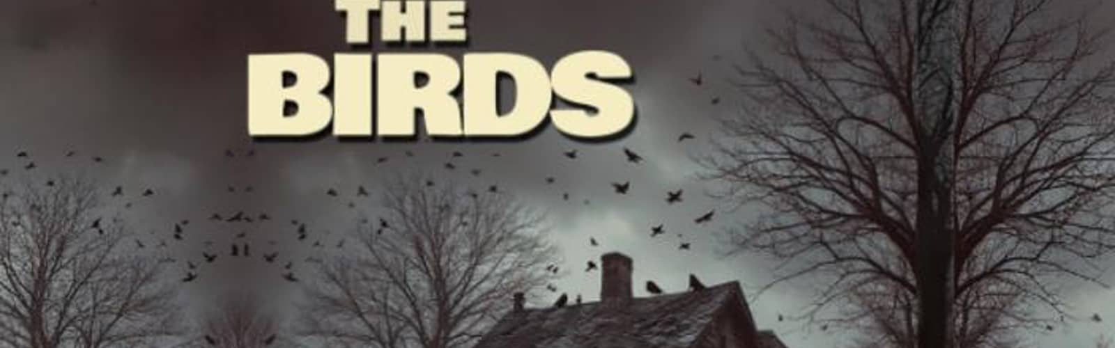 Curtain Players Presents: The Birds Auditions
