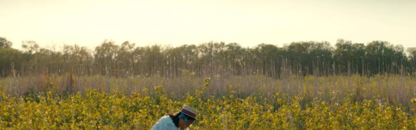 Film Screening: Documentary Shorts