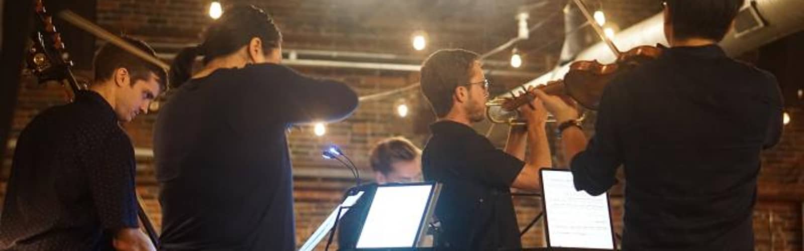 VIVO Music Festival Season 12: Beer and Beethoven