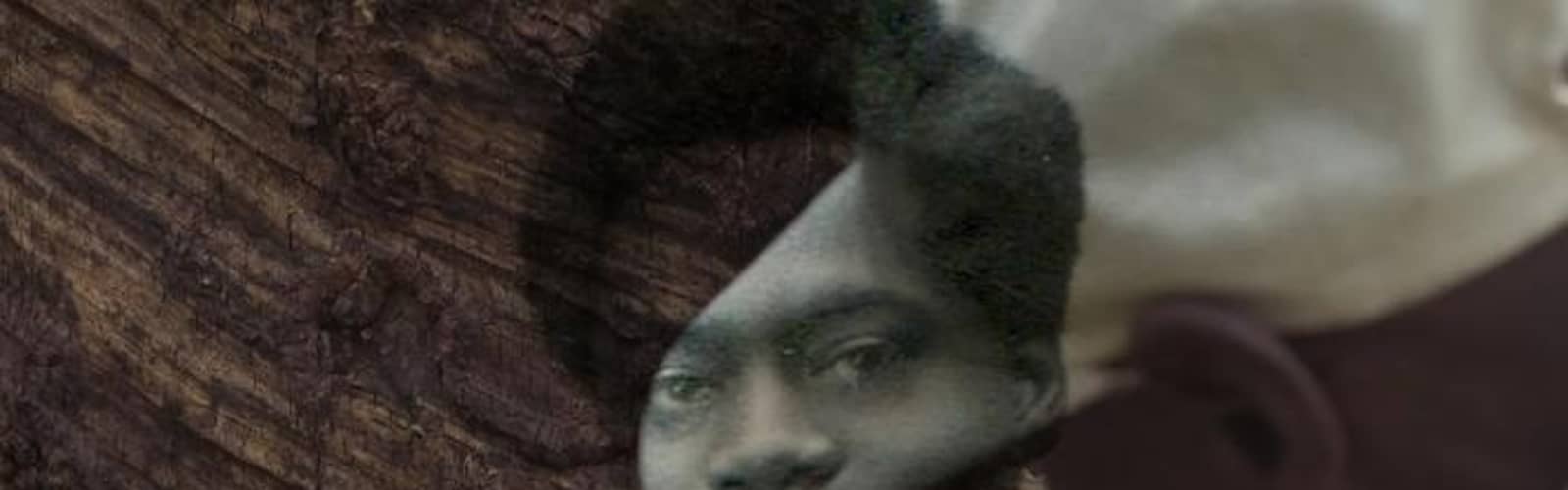 The Tree of Authenticity (L'arbre de l'authenticité, Sammy Baloji, 2025)