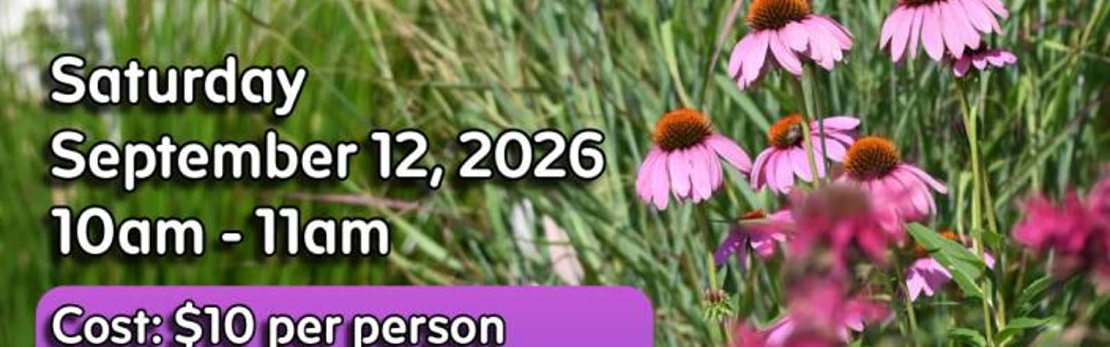 Perennial Garden Design