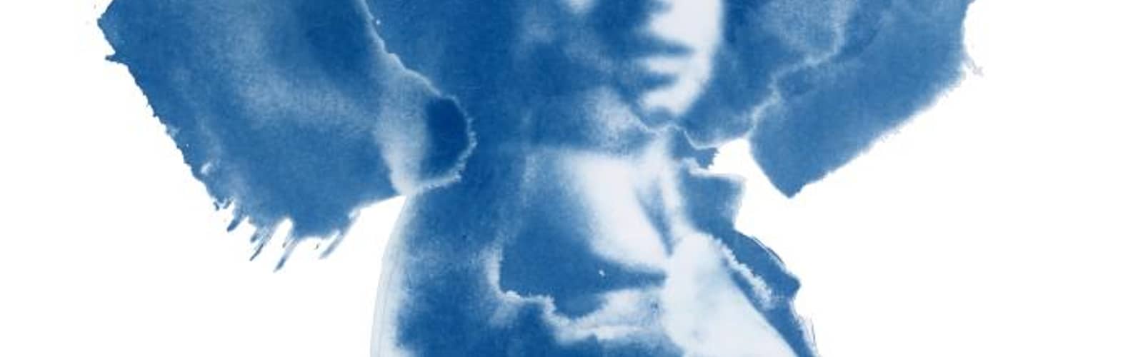 Cyanotype Workshop with Ky Smiley