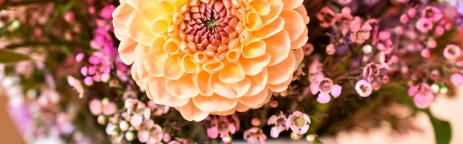 Dahlia Floral Centerpiece Workshop