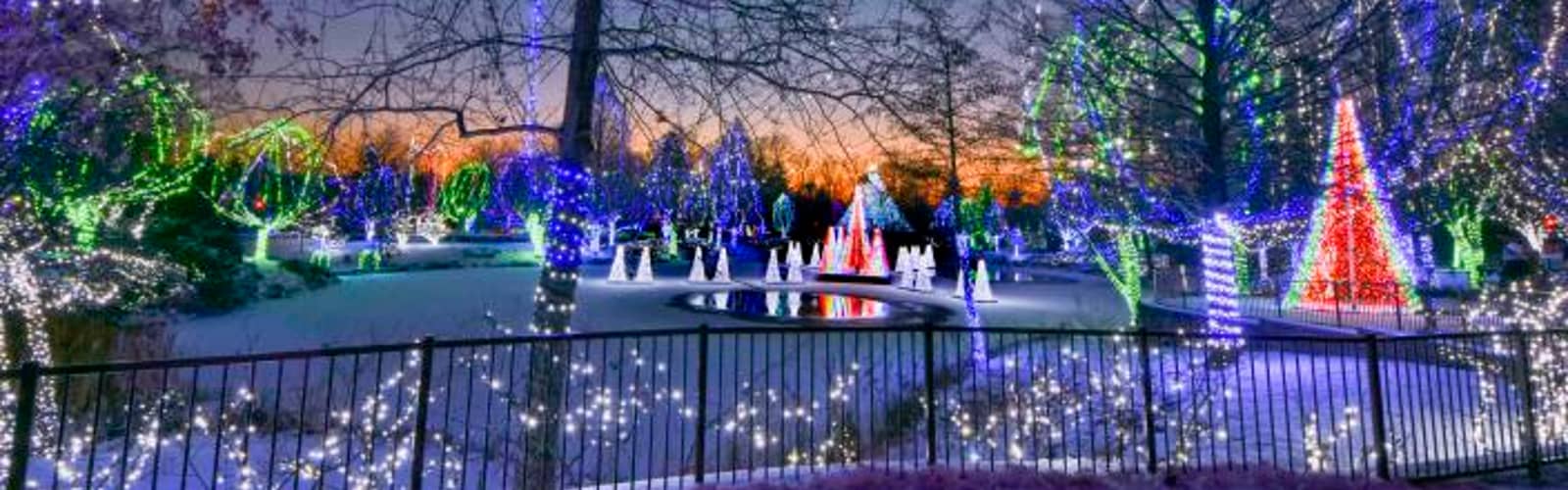 Wildlights