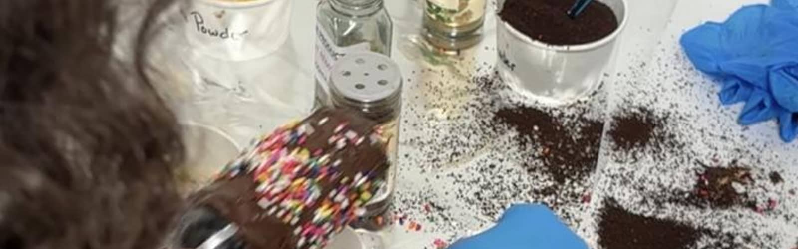 Fall Chocolate Making Workshop