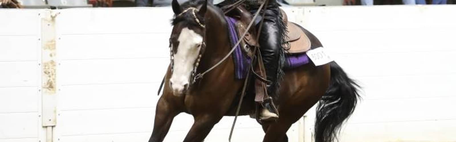 Equine Affaire