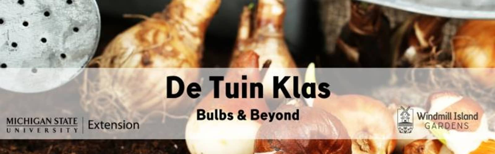 De Tuin Klas: Bulbs & Beyond
