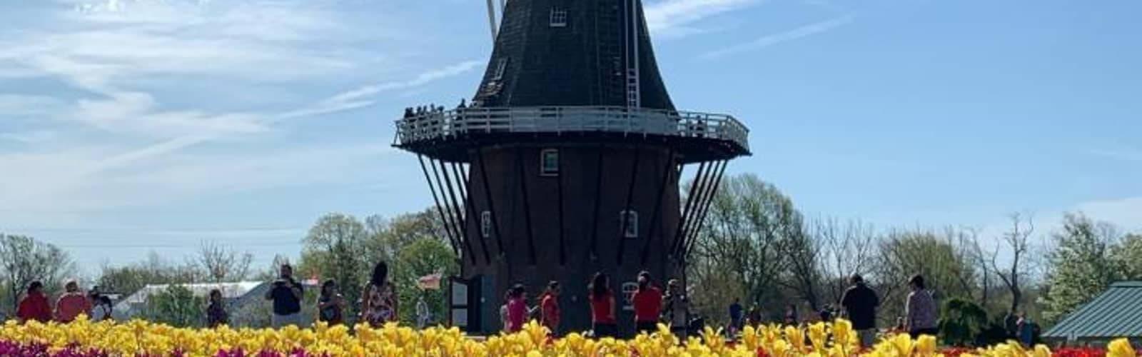 Tulip Time