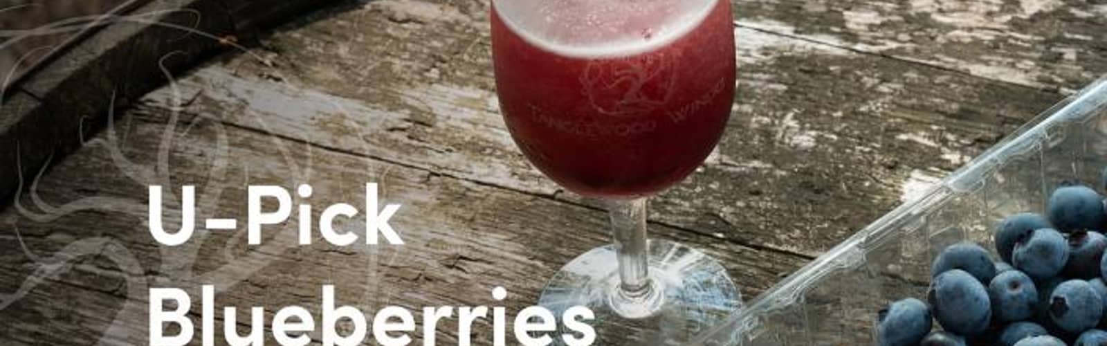 U-Pick Blueberries