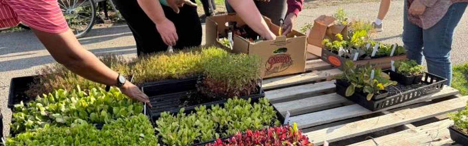 Monthly Farmers Market