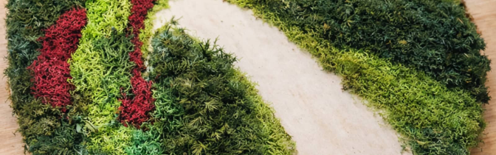 Moss Art Class