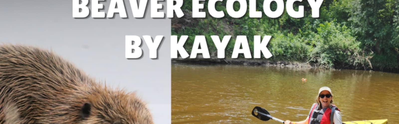 Beaver Ecology by Kayak