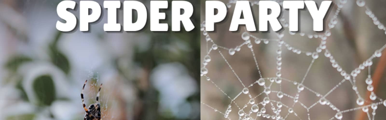 Spider Party at Riverside Park