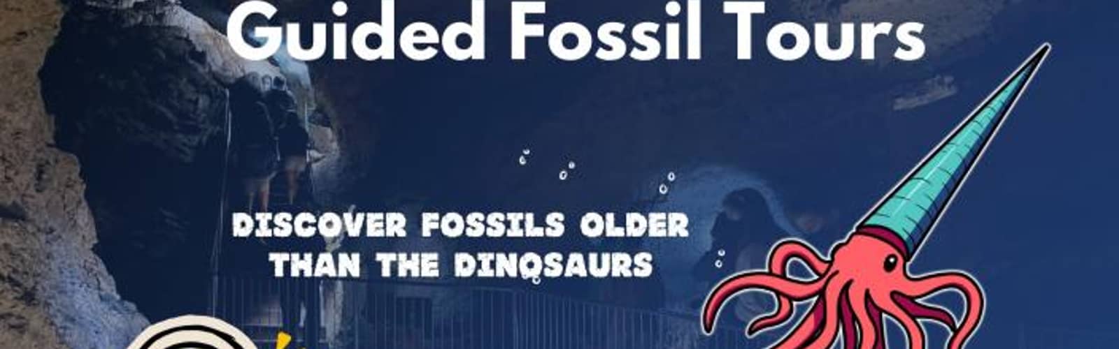 Guided Fossil Tour