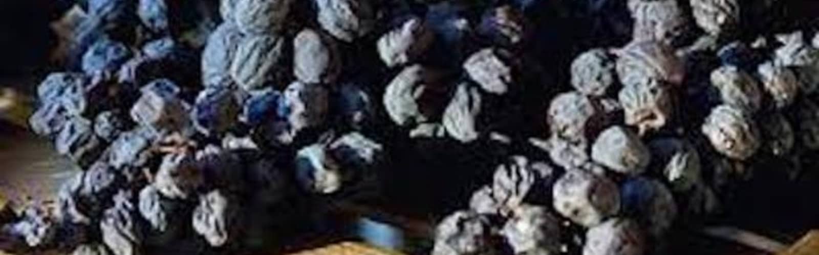 Raisins Into Gold: Amarone