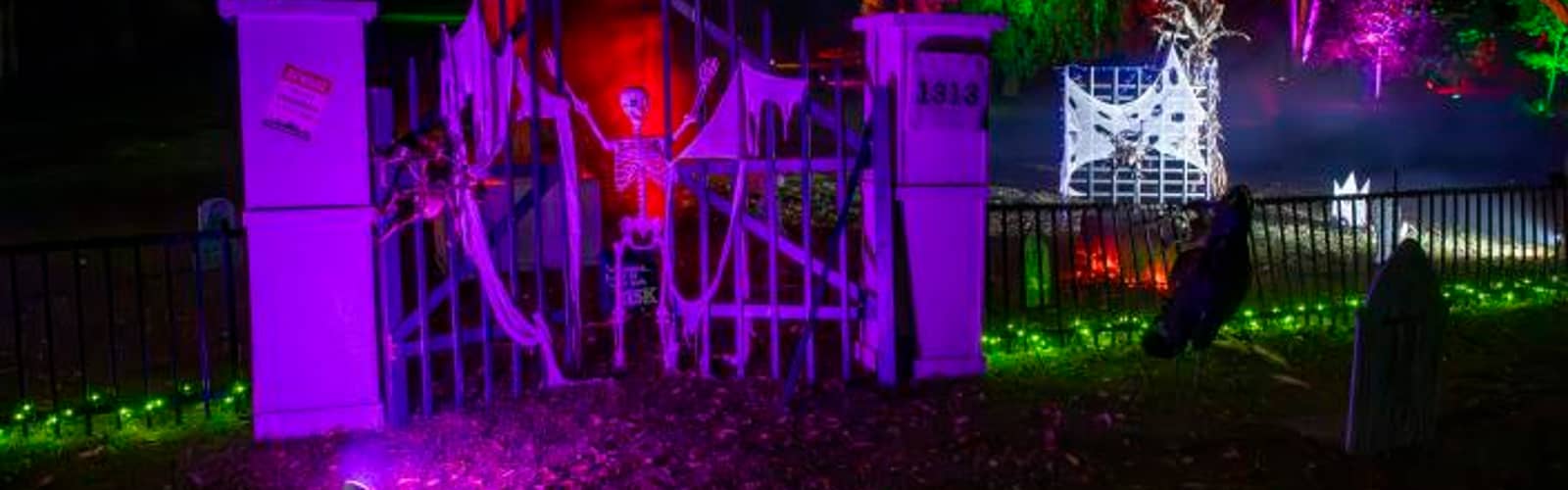 Spooky Safari