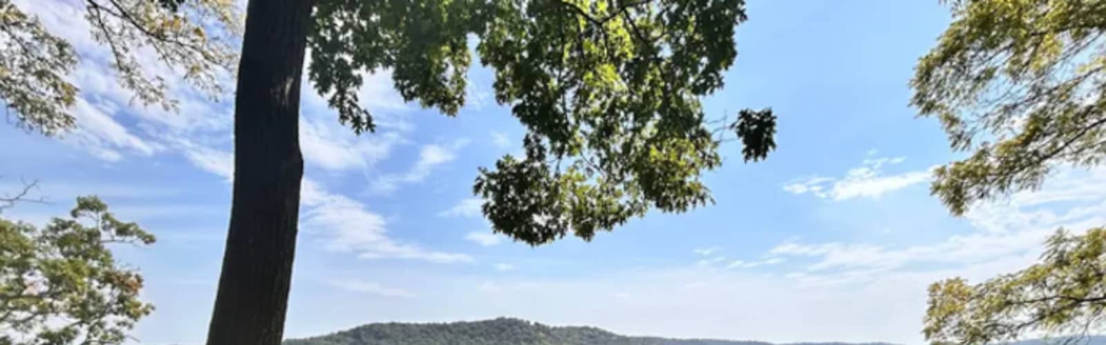Weekend Workshop: Learning from the Land - Nature, Stewardship, and the Driftless Region