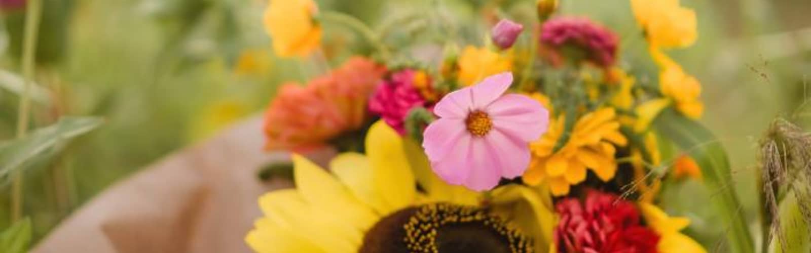 U-Pick Flower Farm