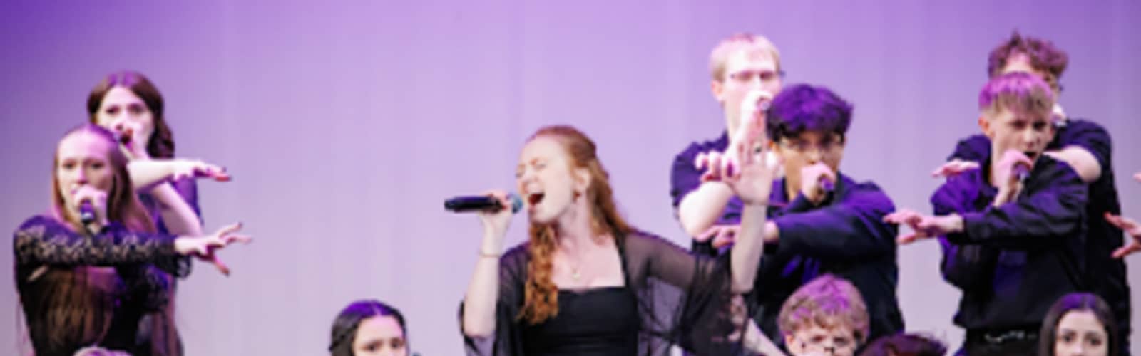 Oak Creek A Cappella Party