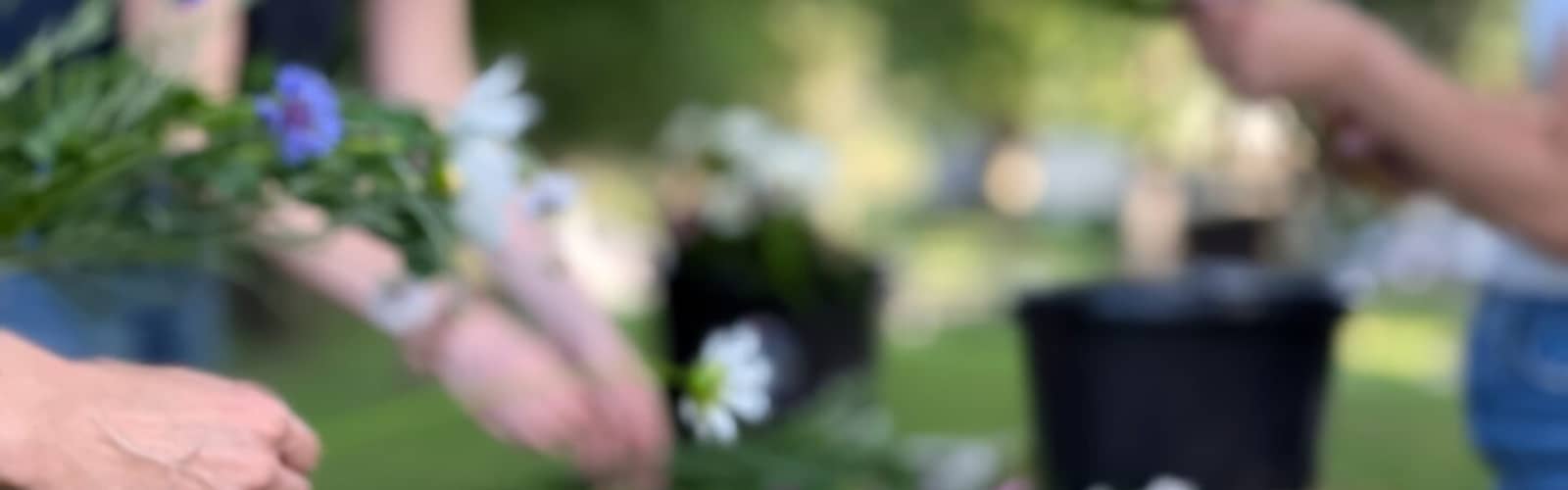 Create Your Own Farm Flower Bouquet