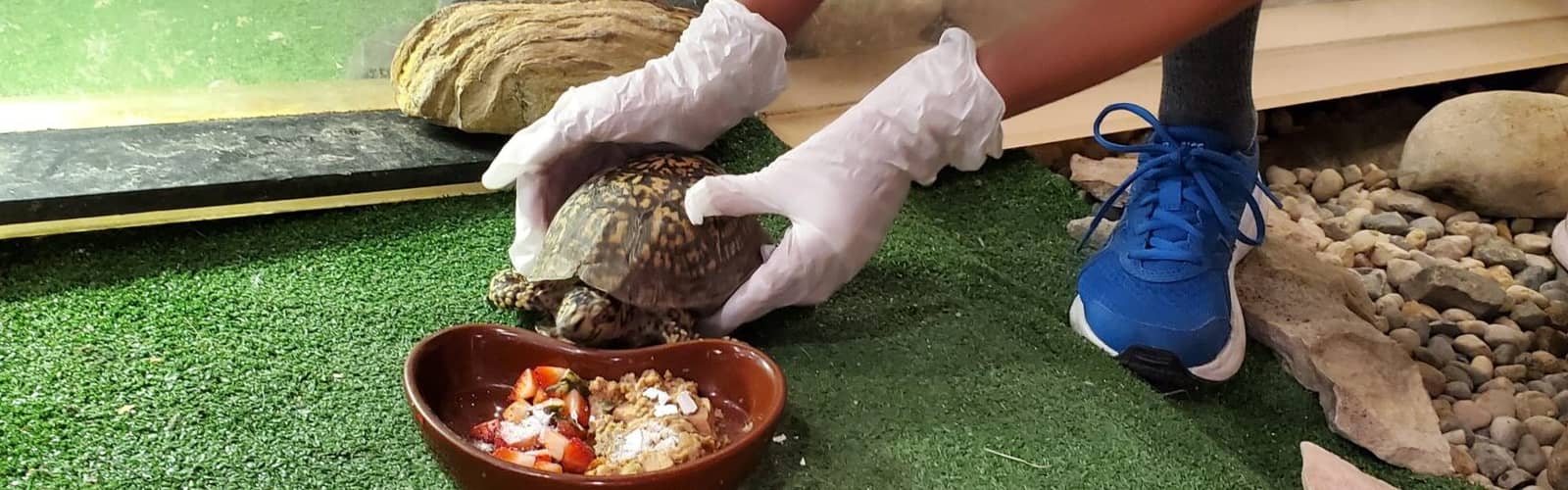 SOLD OUT | Wildlife Care Apprentices (Ages 10-15)