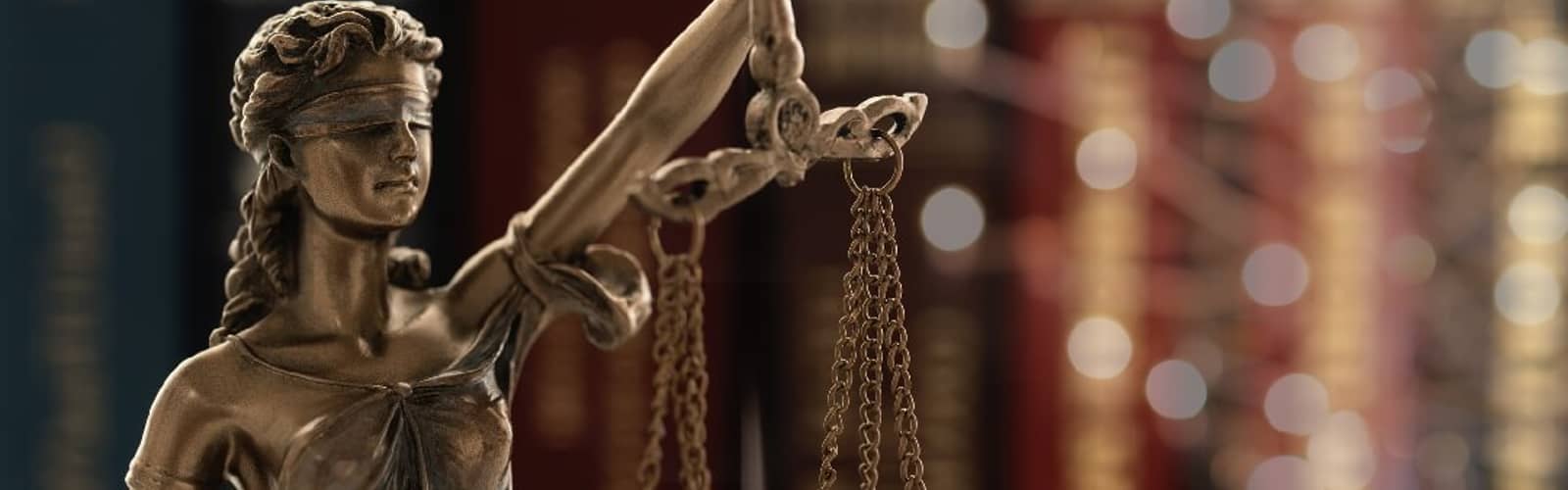 ACLL & PMC Presents: Necessary Legal Papers