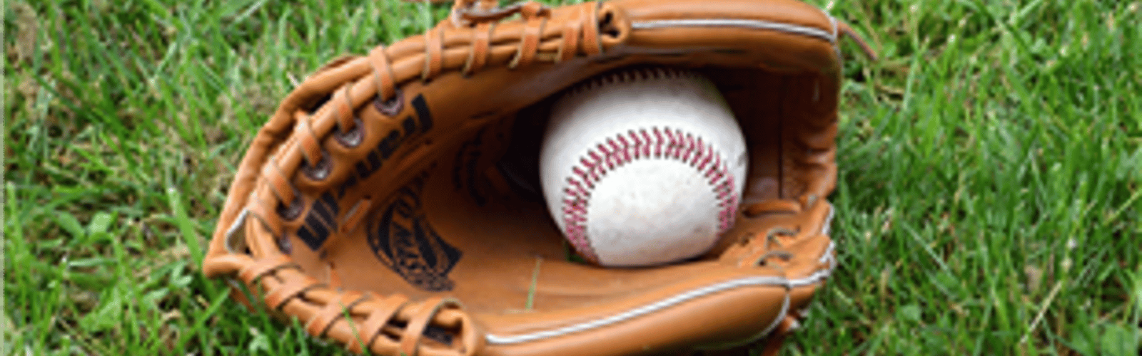 Toledo Mudhens vs. Iowa Cubs