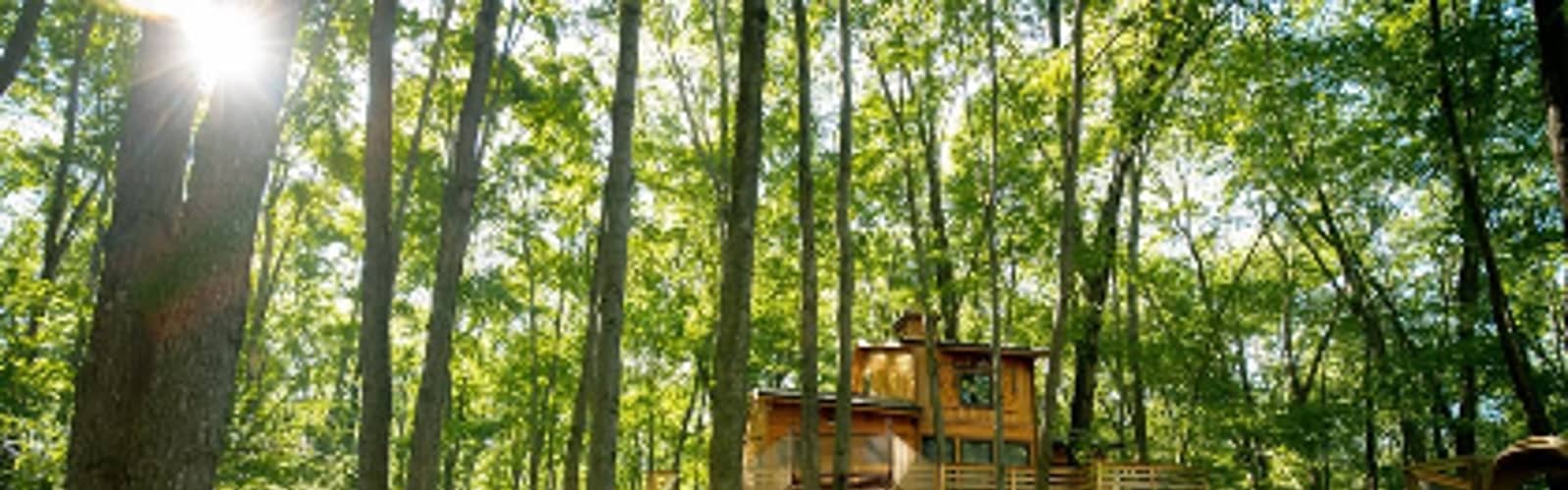 Facility Open House: Cannaley Treehouse Village