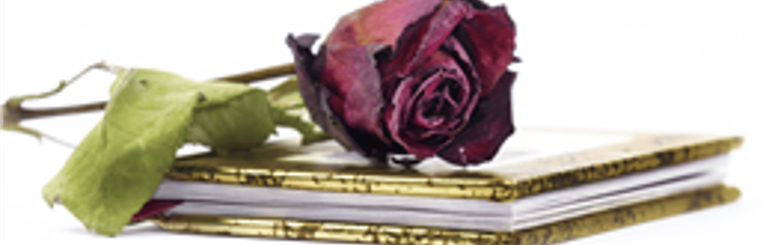 Pride & Poetry: Jonie McIntire