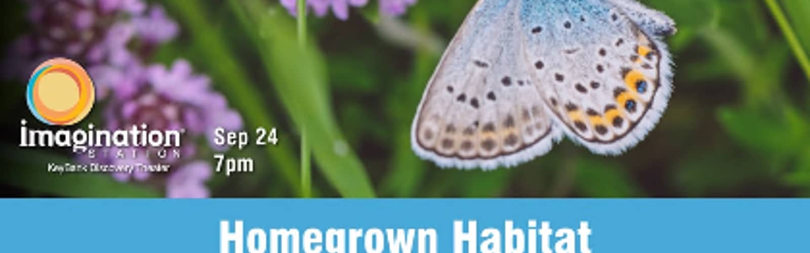 Homegrown Habitat: Community Conversation