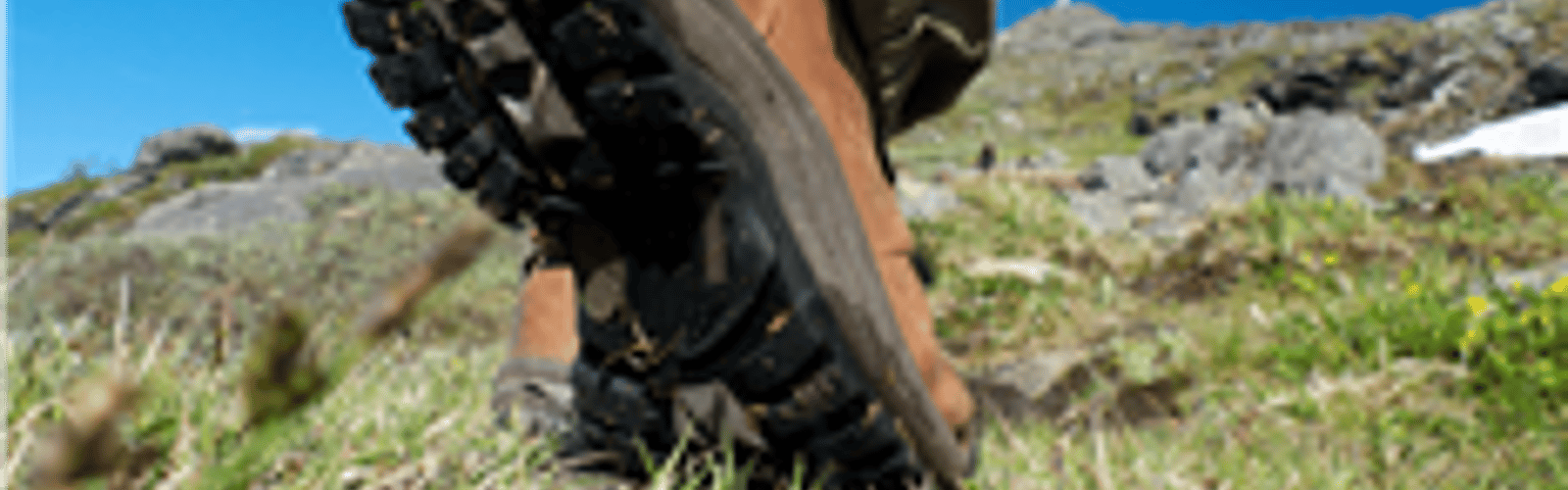 1 Hour Hike (Adults and 16+, Dog Friendly)