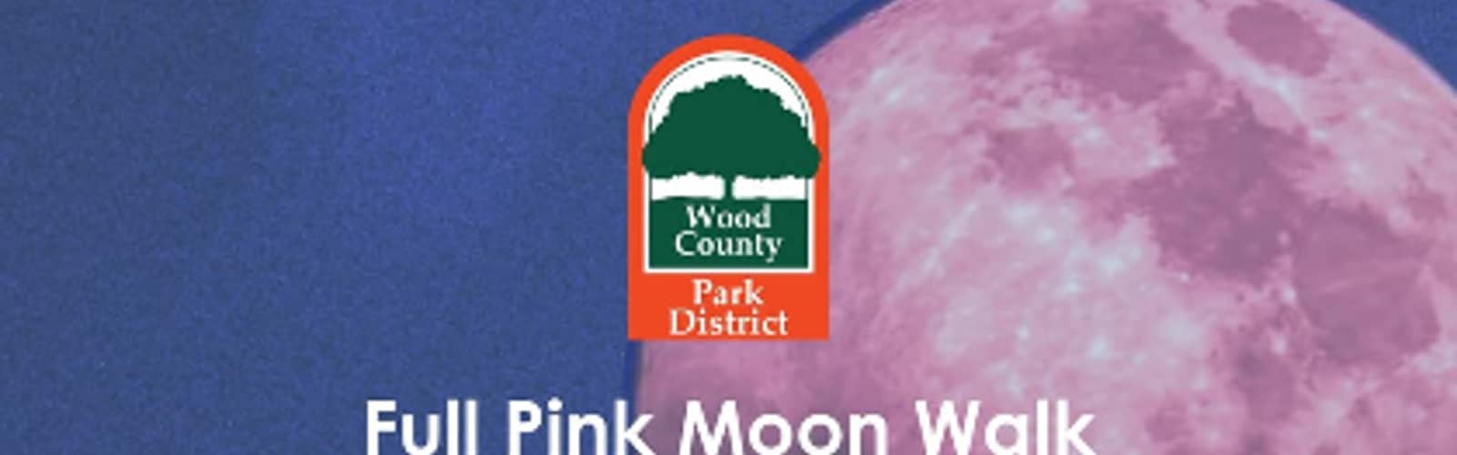 Full Strawberry Moon Walk
