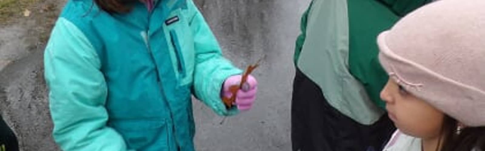 School's Off, Parks On Mini-Camp: Nature's Eve Party (Ages 5 to 10)