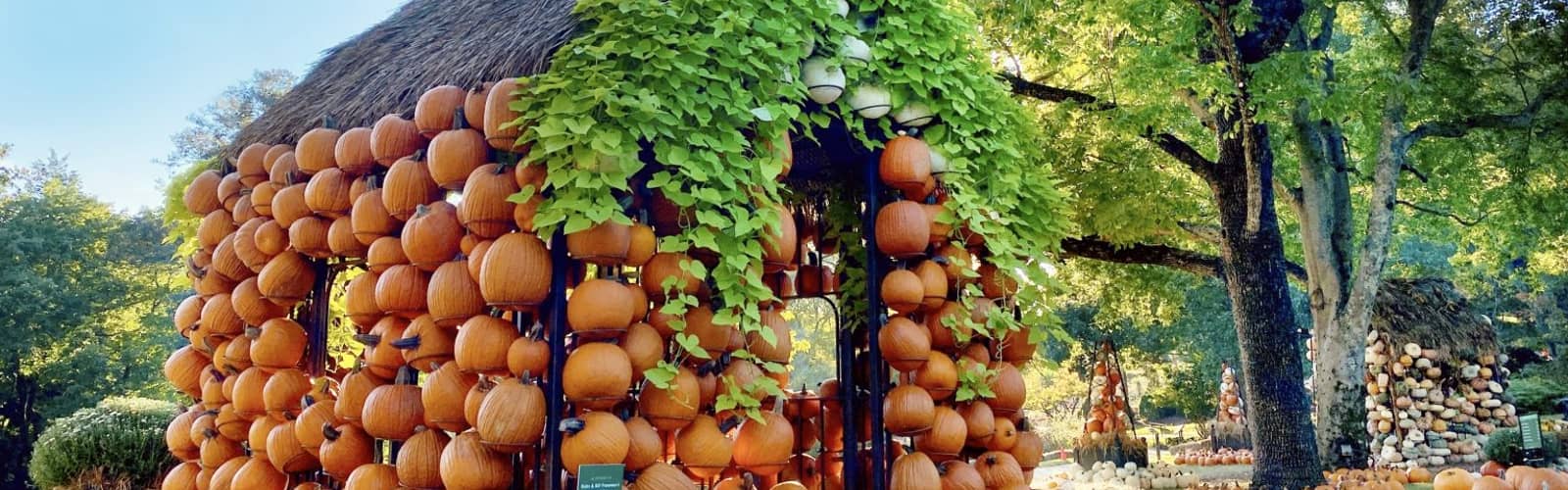 Cheekwood Harvest