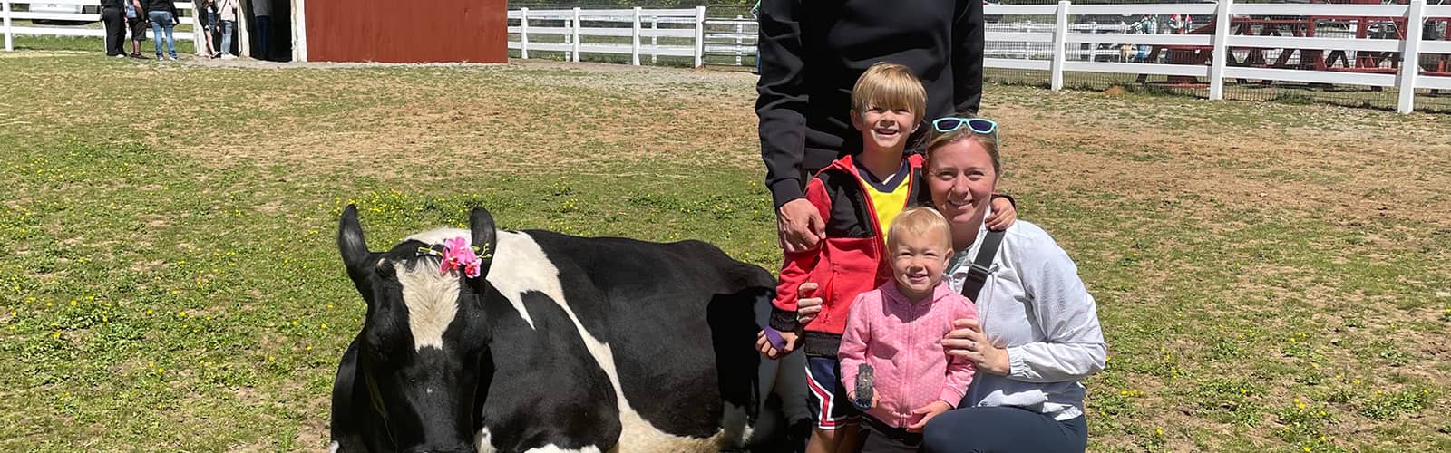 Cow Cuddling at the Gentle Barn