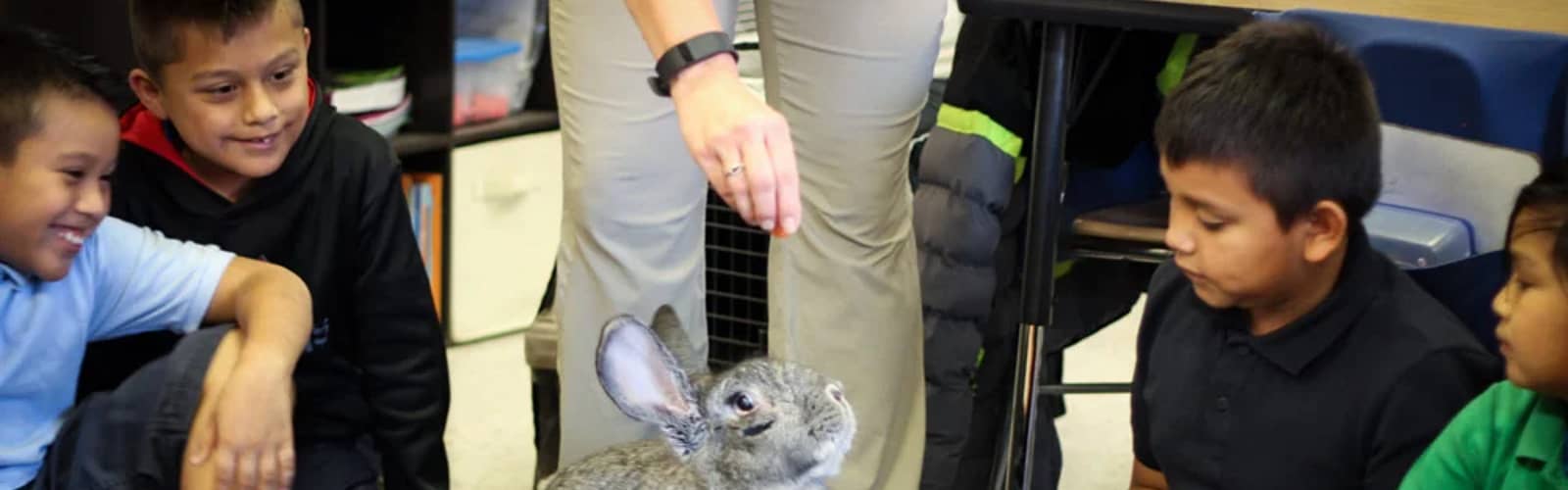 ZooVentures at the Library