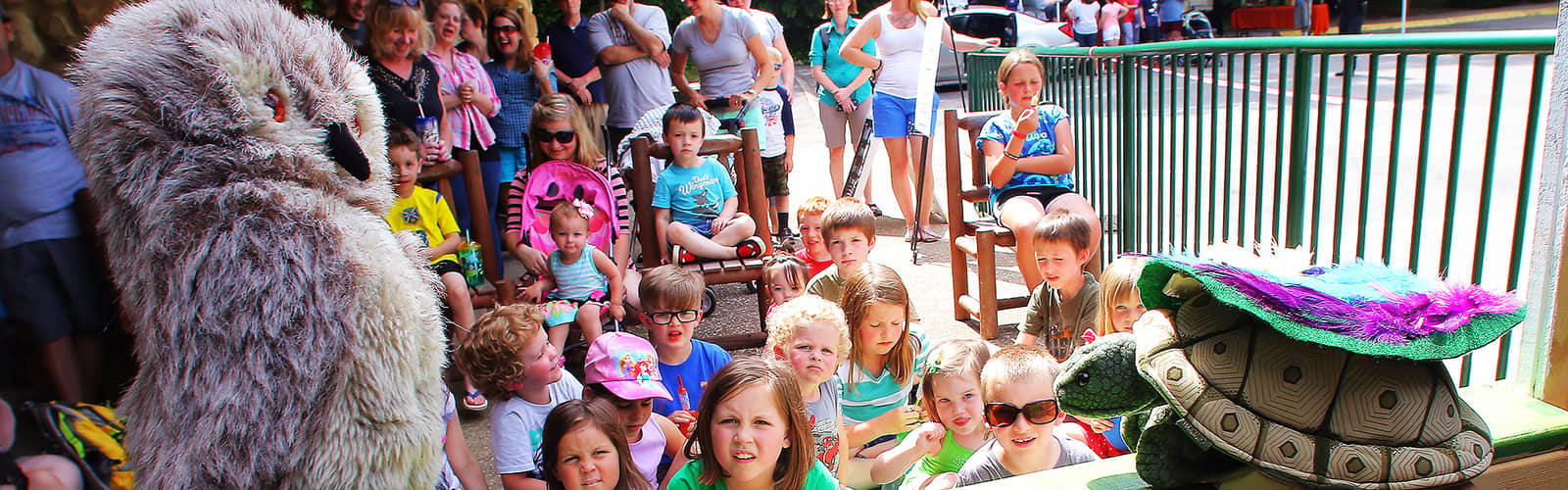 Turtle Talk at The Wilderness Station