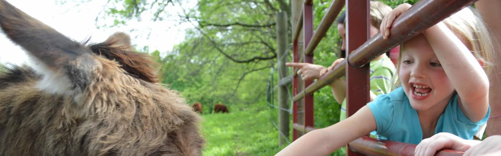 Community Day at Glen Leven Farm
