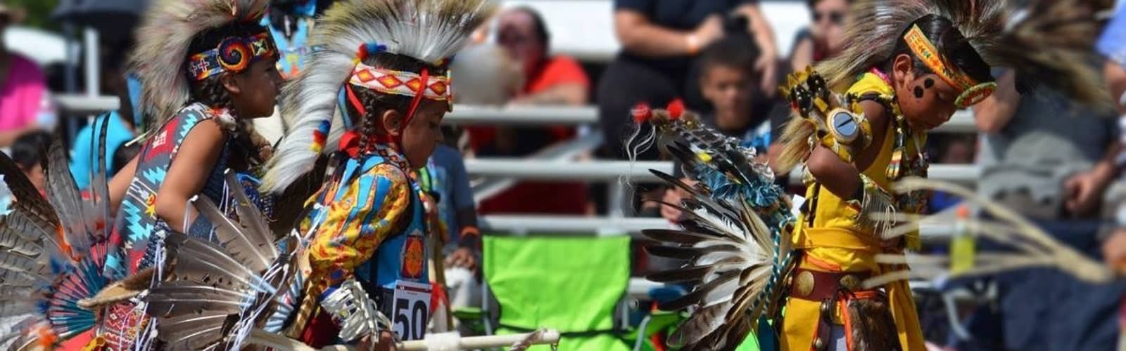 43rd Annual WilCo Pow Wow